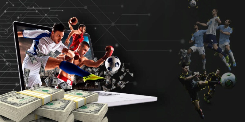 Lý do sảnh chơi thể thao 58WIN thu hút đông đảo người chơi